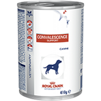 Lata Convalescence Support Canina Royal Canin - 410 g